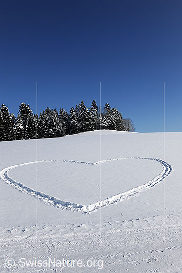Foto: Schneeherz. Das Herz wurde in die schneebedeckte Landschaft gezeichnet.