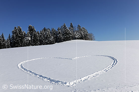 Foto: Winterlandschaft mit Schneeherz.