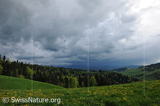 Foto: Gewitterstimmung über Frühlingslandschaft.