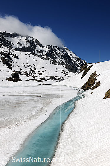 Foto: Hellblaues Wasser am Rand der Eisdecke eines Bergsees. Der zugefrorene See beginnt zu tauen.
