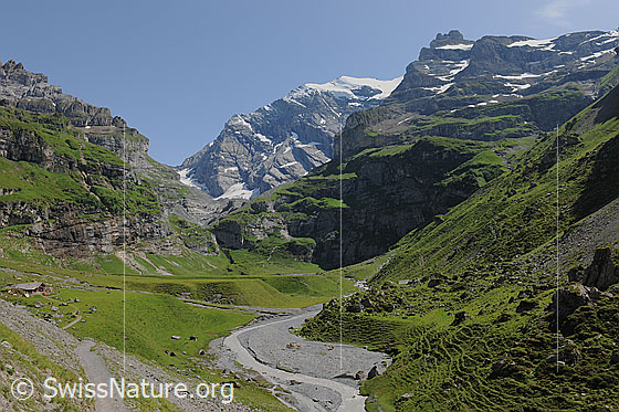 Foto: Freier Flusslauf und in sommerlich grüner Berglandschaft.