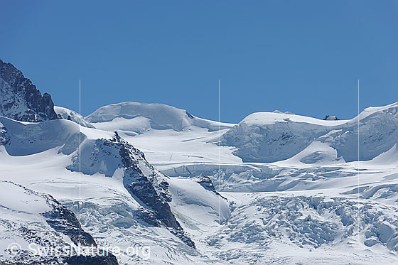 Foto: Parrotspitze und Grenzgletscher