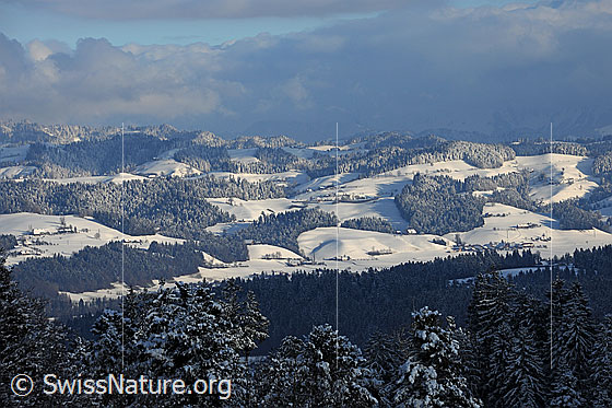 Foto: Firsch verschneite Wälder in Hügellandschaft mit Streiflicht und Restbewölkung.