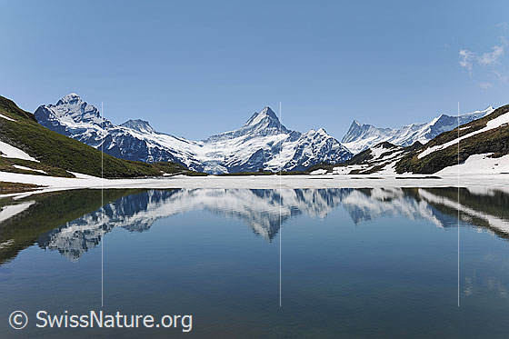 Foto: Spiegelung im Bachalpsee