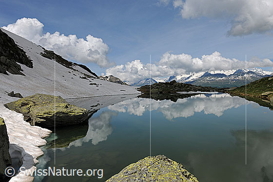 Foto: Schaplersee, Binntal. Schneefeld und Quellwolken spiegeln sich in der ruhigen Wasserfläche.