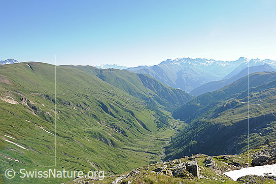 Foto: Blick über das Saflischtal aus der Region Oberblatthorn.
Auf der gleichmässigen, grünen Fläche wird das westliche Feld von Grengiols Solar gebaut.