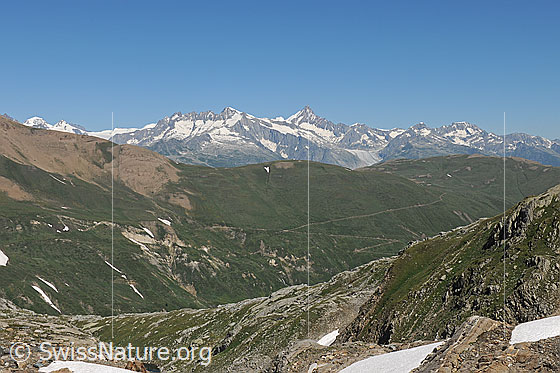 Foto: Blick über die Nordhänge des Saflischtals zu den Berner Alpen.
Auf die grüne Fläche ca. in der Bildmitte wird oberhalb der Alpstrasse das westliche Feld von Greniols Solar zu liegen kommen.