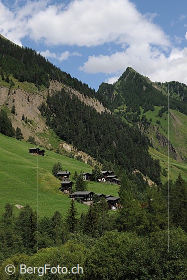 Foto: 