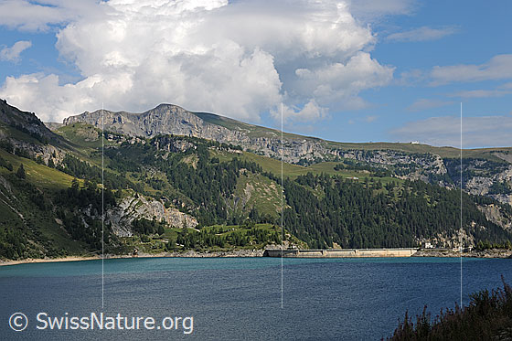 Foto: Stausee Lac de Tseuzier.
Blick über die blaue Wasserfläche zur Staumauer.