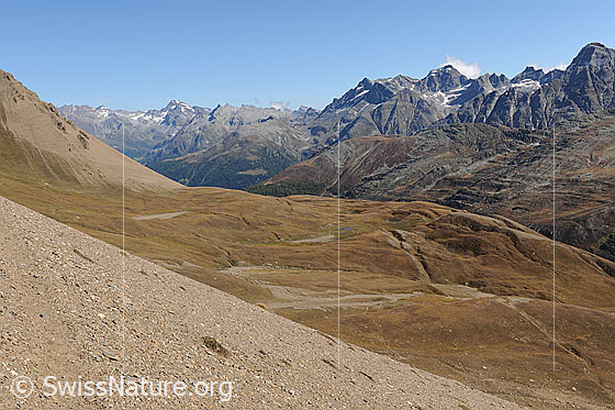 Foto: Blick vom Saflischpass über das Saflischtal Richtung Binntal/Ofehorn.
Vermutlich wird die Transportseilbahn von Grengiols Solar durch diese Landschaft führen.