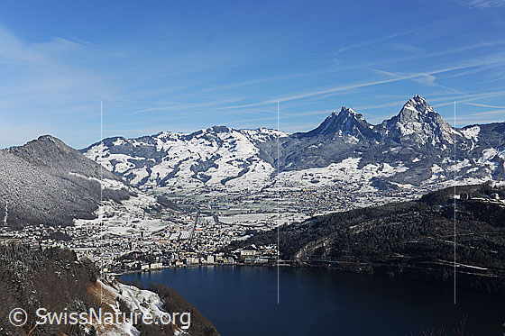 Foto: Die Mythen und Schwyz.
Blick von Seelisberg über den Vierwaldstättersee zu Grossem und Kleinem Mythen. Am Fuss der Mythen liegt die Stadt Schwyz. Am Ufer des Vierwaldstättersee ist Brunnen zu sehen.