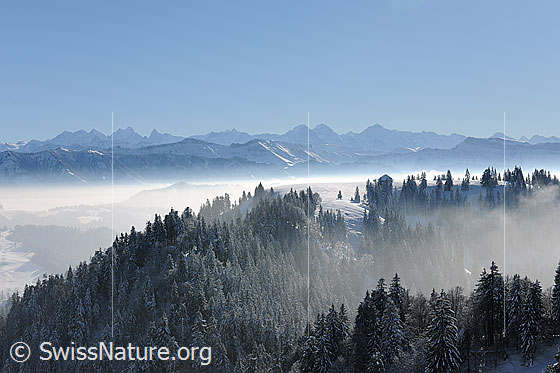 Foto: Blick vom Napfgebiet zu den Berner Alpen.