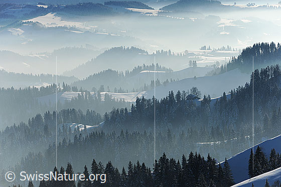 Foto: Emmentaler Konturen in Dunst/Nebel.