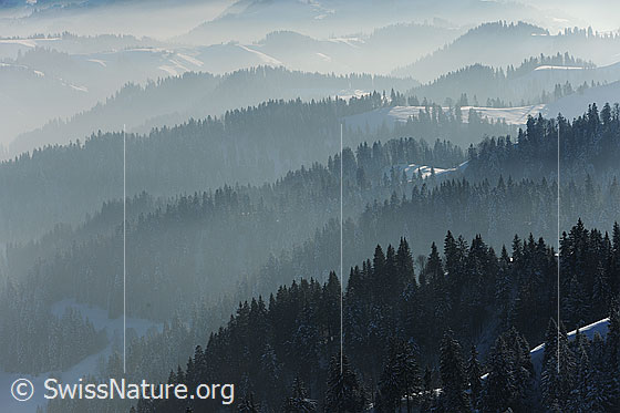 Foto: Konturen der Emmentaler Höger und Eggen im Dunst/Nebel.