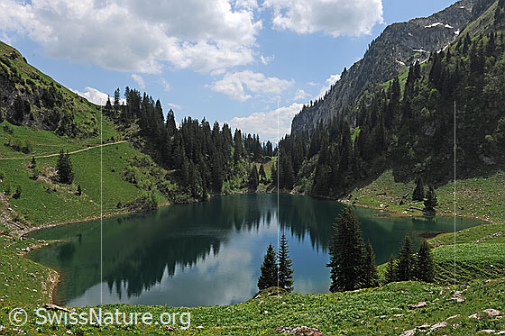 Foto: Am Walopsee. Mit schwacher Spiegelung und Quellwolken am Himmel.