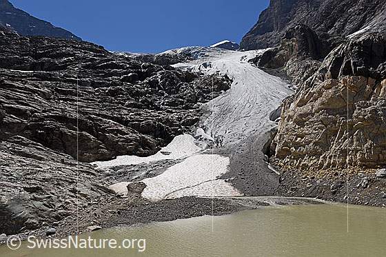 Foto: Schmale Gletscherzunge und Gletschersee.