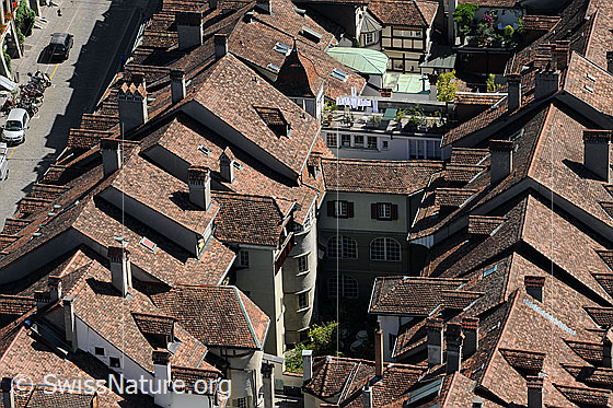 Foto: Blick vom Münster auf die Altstadt von Bern.
