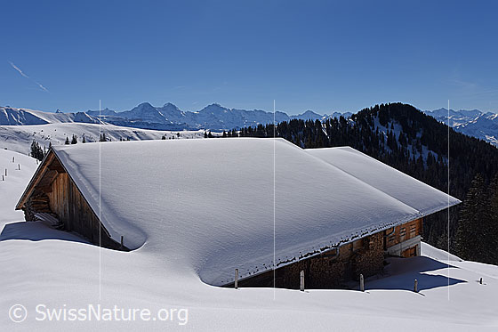 Foto: Blick über Dach einer eingeschneiten Alphütte zu den Berner Alpen.