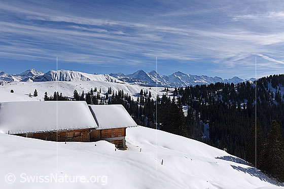 Foto: Alphütte in verschneiter Landschaft.