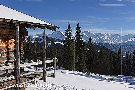 Foto: Alphütte in Naturlandschaft.