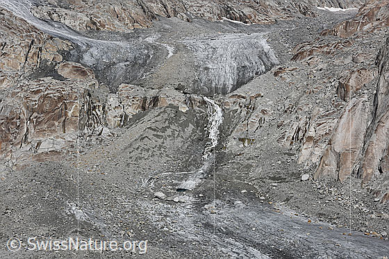 Foto: Tiefengletscher: Zunge hat Kontakt zum Gletscher verloren.
Im Sommer 2017 hat die Zunge des Tiefengletschers den Kontakt zum Gletscher verloren  (gut sichtbar am Felsriegel mit Gletscherbach oberhalb der Bildmitte). Zurück bleibt eine recht grosse Masse von Toteis, welches in den nächsten paar Jahren abschmelzen wird.
