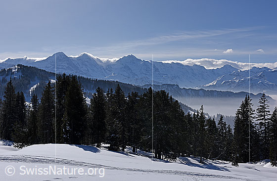 Foto: Föhnstimmung über den Berner Alpen.