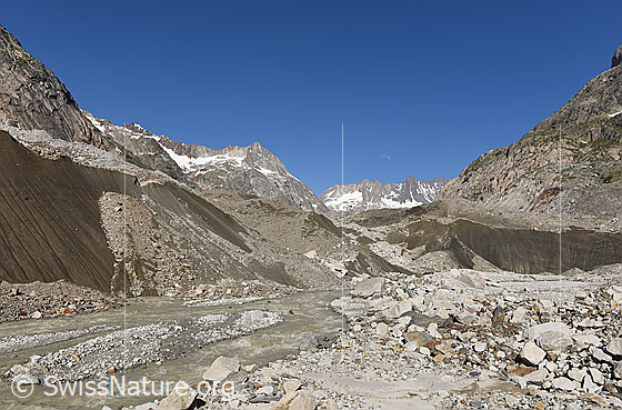 Foto: Unteraargletscher und Escherhorn.
