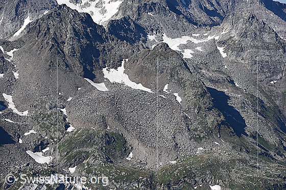 Photo: Rock glacier on the north side of the Bochtehorn, 2769m a.s.l.

