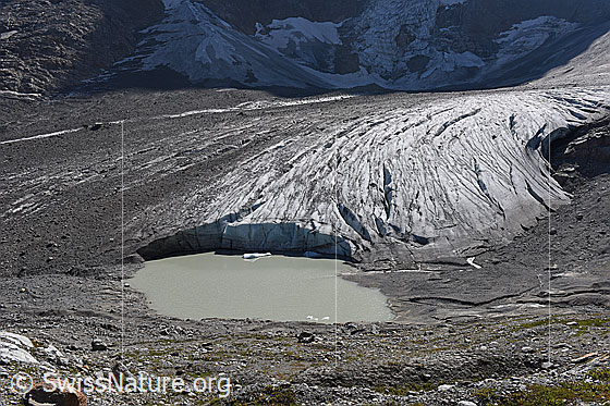 Foto: Randglazier See am Breithorngletscher. Ansicht von schräg oben. (Stand 9.2018)
Der linke (= südliche) Teil des Gletschers ist von einer Obermoräne bedeckt.

