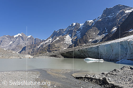 Foto: Randglazialer See am Breithorngletscher. (Stand 9.2018). Links im Hintergrund ist die Jungfrau zu sehen.
