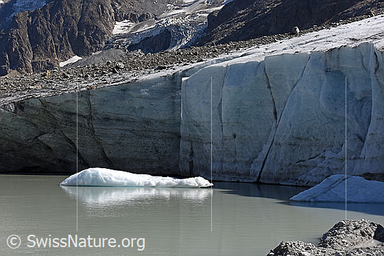 Foto: Gletscherrandsee und die ca. 6m hohe Eiswand am Breithorngletscher (Stand 9.2018).
