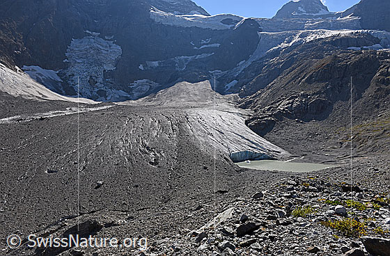 Foto: Randglazialer See am Breithorngletscher (Stand 9.2018).
Der linke (= südliche) Teil des Gletschers verfügt über eine Obermoräne.

