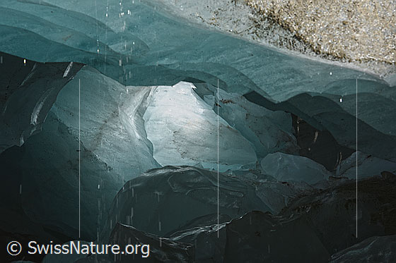 Foto: Eishöhle in grossem Toteiskegel am Unteraargletscher. Gletschereis in verschiednen Cyantönen.
