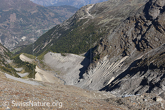 Foto: Blick talauswärts über die eindrücklichen Seitenmoränen und das ehemalige Gletscherbett des Riedgletschers.
