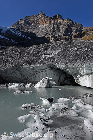 Foto: Eischollen im Gletschersee

