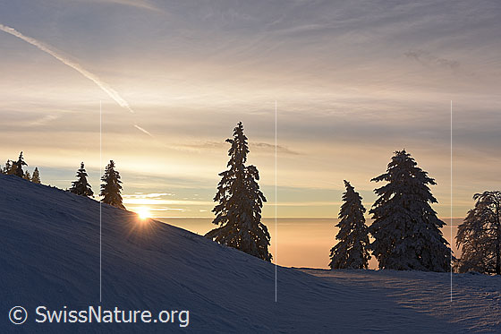 Foto: Sonnenuntergang in Winterlandschaft.