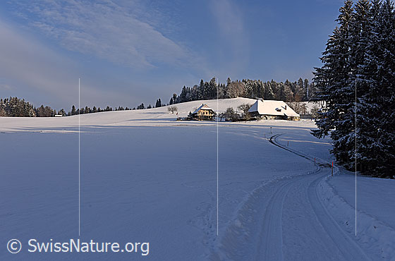 Foto: Bauernhof in leicht verschneiter Hügellandschaft.