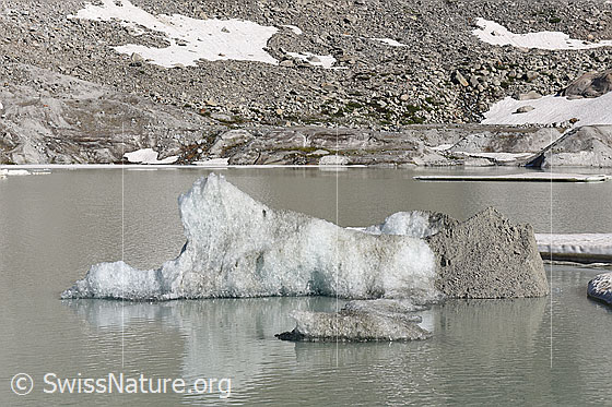Foto: Eisschollen treiben auf dem proglazialen See vor dem Rhonegletscher.