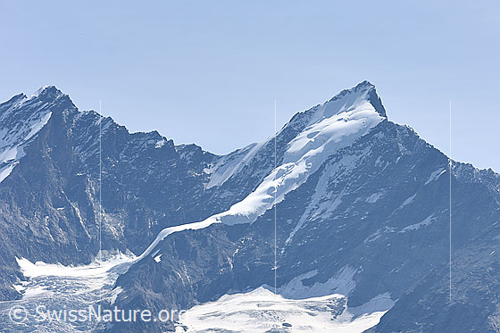Foto: Dom, Täschhorn und oberer Teil des Kingletschers. 
Über die steile Rampe des Kingletschers führt die Normalroute von der Kinhütte. Zwischen Dom und Täschhorn befindet sich das Domjoch.
