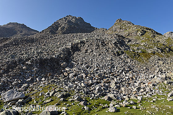 Photo: Front of a rock glacier. Altitude of the location: approx. 2400m a.s.l.
