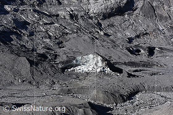 Foto: Der randglaziale See wurde von einem Riegel aus Eis gestaut. Wenige Tage vor der Aufnahme dieses Fotos ist der Eisriegel eingestürzt und der See ausgelaufen. Ansicht von der östlichen Seitenmoräne.

