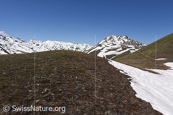 Photo: On the way to Breithorn in habitat no. 6. Shortly after Breithorn Kreuz (cross) there is a left-hand bend (90°). This photo was taken after this left-hand bend.
The eastern field of Grengiols will extend into this area. From this point, the first solar tables should already be visible.