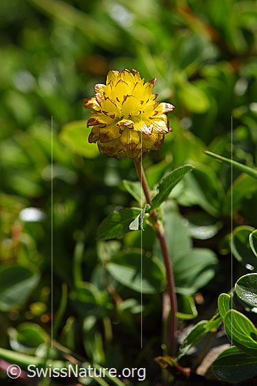 Photo: 