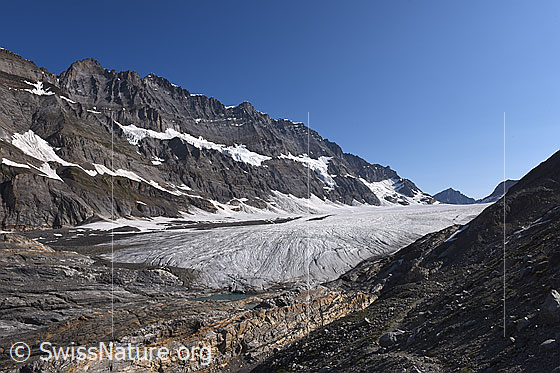 Foto: Gletscherzunge des Kanderfirns am 23.7.2021.