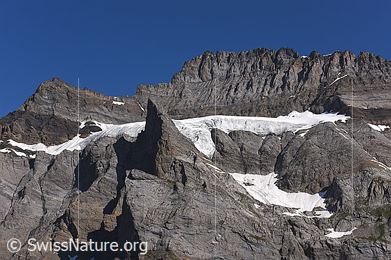 Foto: Namenloser Gletscher in der Südflanke des Fründehorns. Wir nennen ihn Raubvogel-Gletscher. Stand Juli 2021.