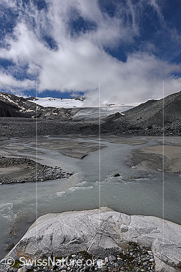Photo: Daily meltwater course Schwarzberg Glacier on 6. August 2021 at 11:15 am.