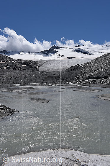 Photo: Daily course of meltwater Schwarzberg Glacier on 6. August 2021 at 14:00.