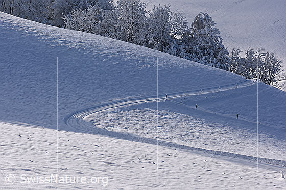 Foto: 
