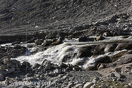 Photo: Daily course of meltwater Oberaargletscher on 5. August 2024 at 8:15 am.