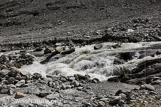 Photo: Daily course of meltwater Oberaargletscher on 5. August 2024 at 14:15 am.